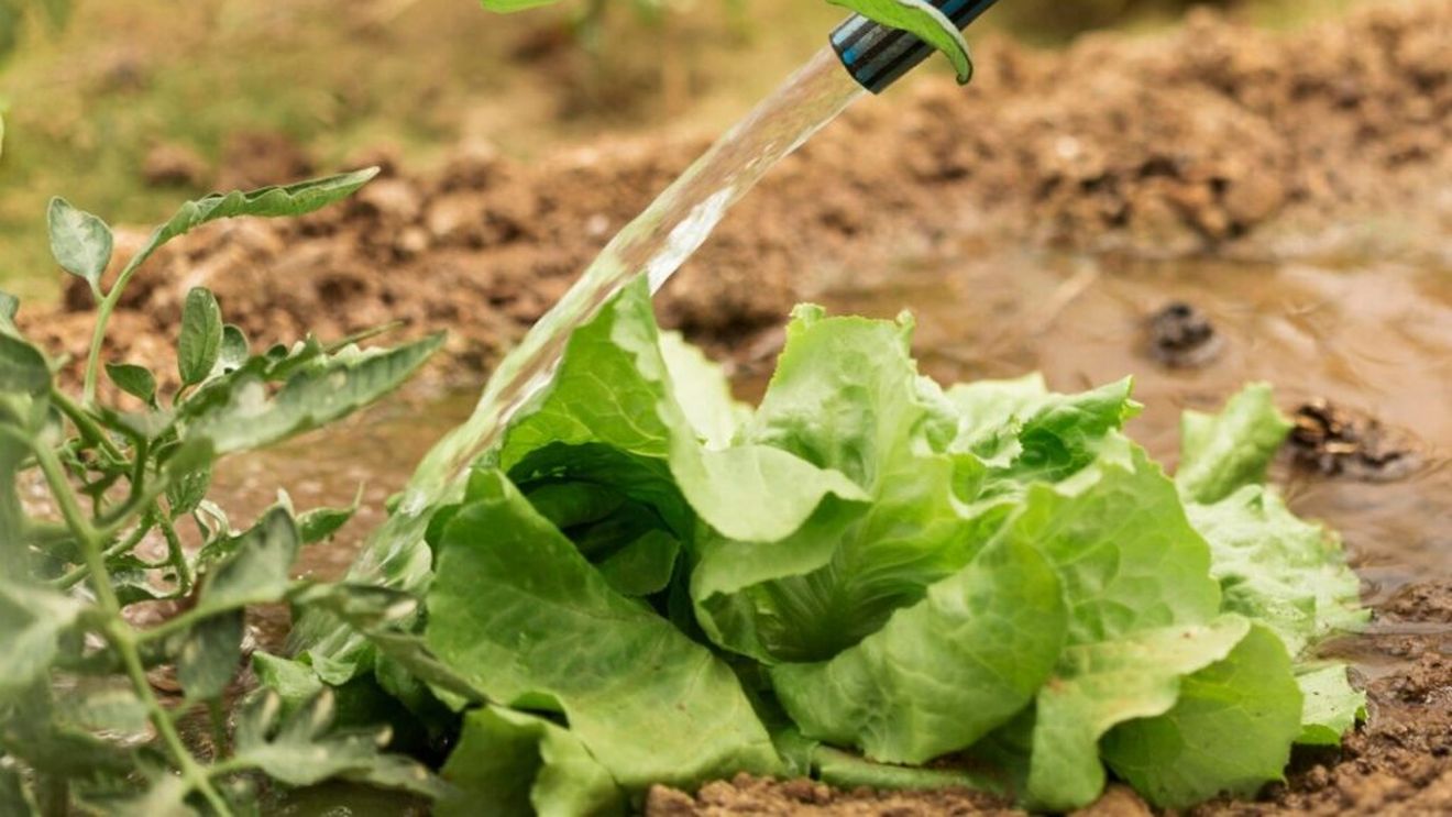 Trei persoane, trimise în judecată de procurorii europeni pentru o fraudă de 1,2 milioane de euro privind modernizarea unor sisteme de irigații din Vâlcea