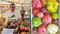Ce soi de roșii folosești la salată, sos sau ciorbă. Lucian Dragomir (legumicultor): „De-a lungul anilor în care am cultivat tomate am observat că cel mai apreciat soi pentru salată este inimă de bou”
