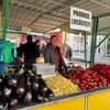 FOTO | Piața de toamnă la Baia Mare / Murături, dovleci de 10 kilograme și legume din grădinile satelor din jur / Producător: „Dacă ai marfă mai slabă, nu o poți da la același preț cu marfa de calitate mai bună”