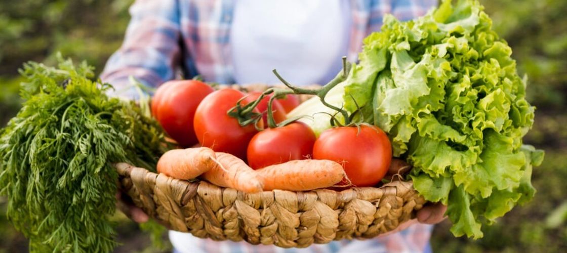 Doar 5% dintre fermierii români au studii agricole. OECD avertizează că lipsa educației încetinește modernizarea sectorului