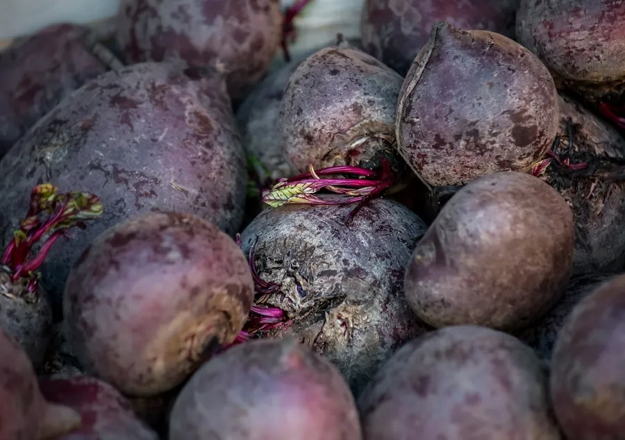 sfecla semănată în Republica Moldova distrusă de îngheț