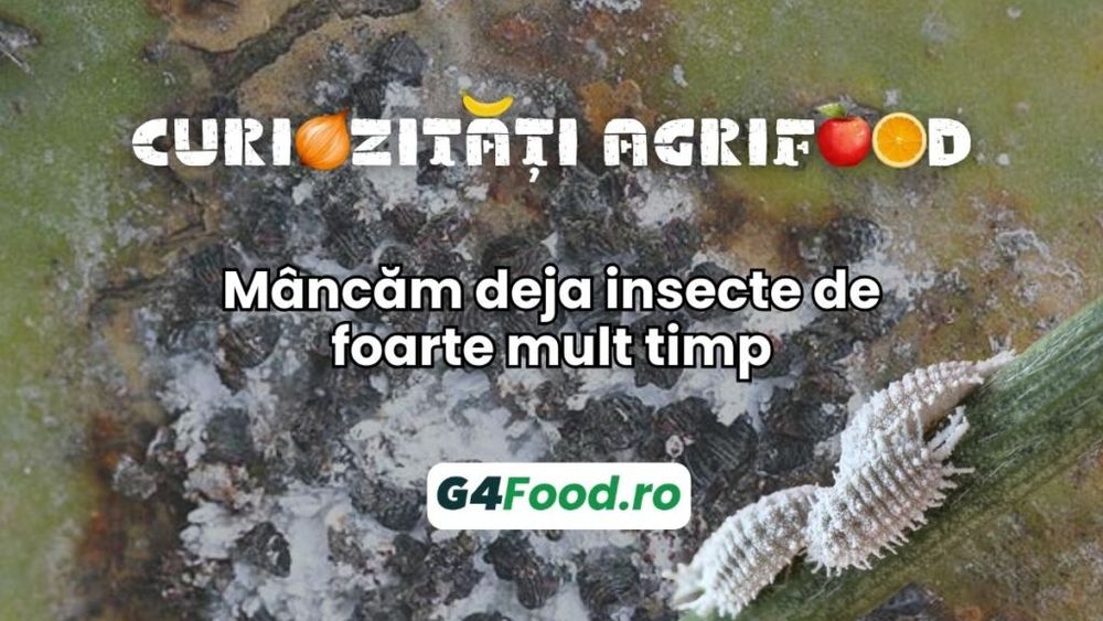 Curiozități agrifood - 29 iulie: Mâncăm deja insecte de foarte mult timp, inclusiv din coloranții alimentari