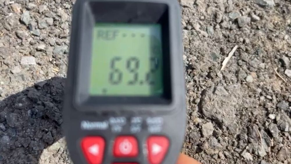 VIDEO | Gloria Pascu, Cooperativa Rodagria: „Sunt aproape 70 de grade Celsius în câmp! Plantele nu mai rezistă. În ritmul acesta, horticultura va fi pe cale de dispariție sau se va face doar în sistem hidroponic”