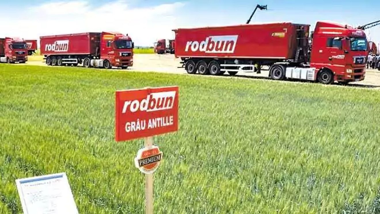 Grupul de agribusiness Rodbun a luat un credit sindicalizat de 17,3 milioane de euro pentru capital de lucru și planuri de dezvoltare