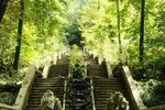 O pădure din Portugalia a primit statutul de „pădure terapeutică”: Bussaco ascunde 250 de specii de arbori și arbuști / Ce se întâmplă într-un astfel de loc și cum diferă terapia de „baia de pădure”