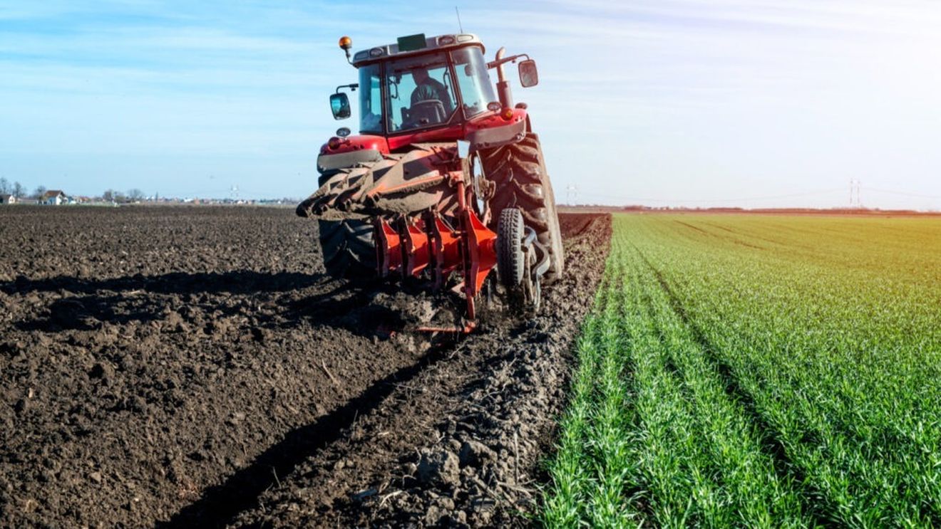 Asociatia Input Agro Romania solicită guvernului  garanții „deja agreate” pentru credite către distribuitorii de inputuri în agricultură, care să fie contractate până cel târziu la jumătatea lui decembrie