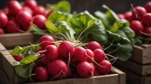 Ridichile roșii: O sursă bogată de antioxidanți, care pot ajuta la reducerea inflamației si la protejarea celulelor împotriva deteriorării