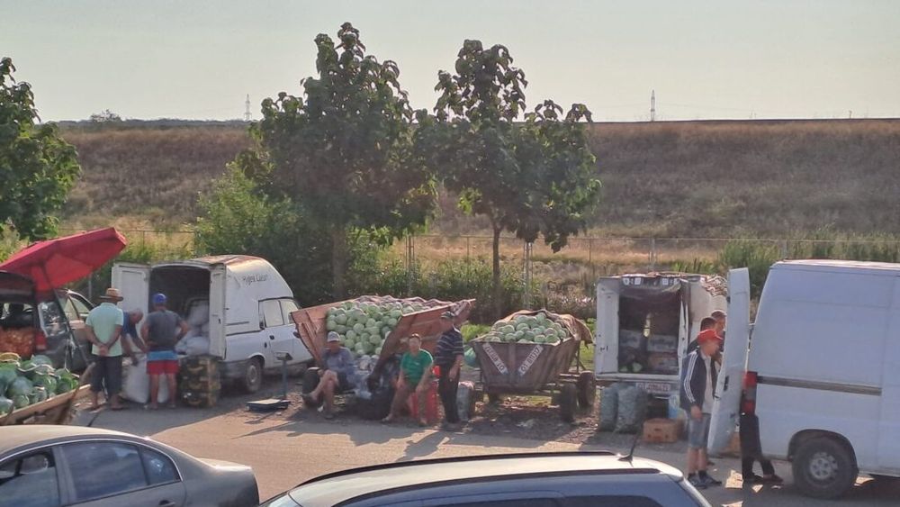 Avantajul unei piețe de gros la țară: legumicultorii din comuna Cilieni, jud. Olt, își vând marfa într-un spațiu organizat, nu pe stradă, ca fermierii din comunele învecinate