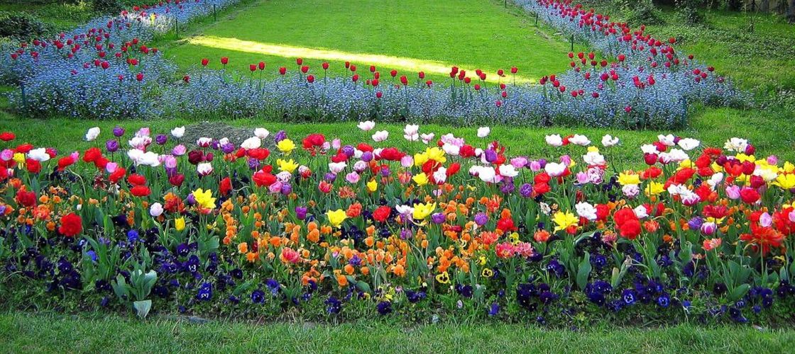 Salon de evenimente și terasă din Parcul Cișmigiu, demolate la ordinul Primarului General