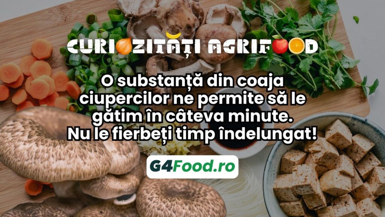 Curiozități agrifood - 13 septembrie: O substanță din coaja ciupercilor ne permite să le gătim în câteva minute. Nu le fierbeți timp îndelungat!