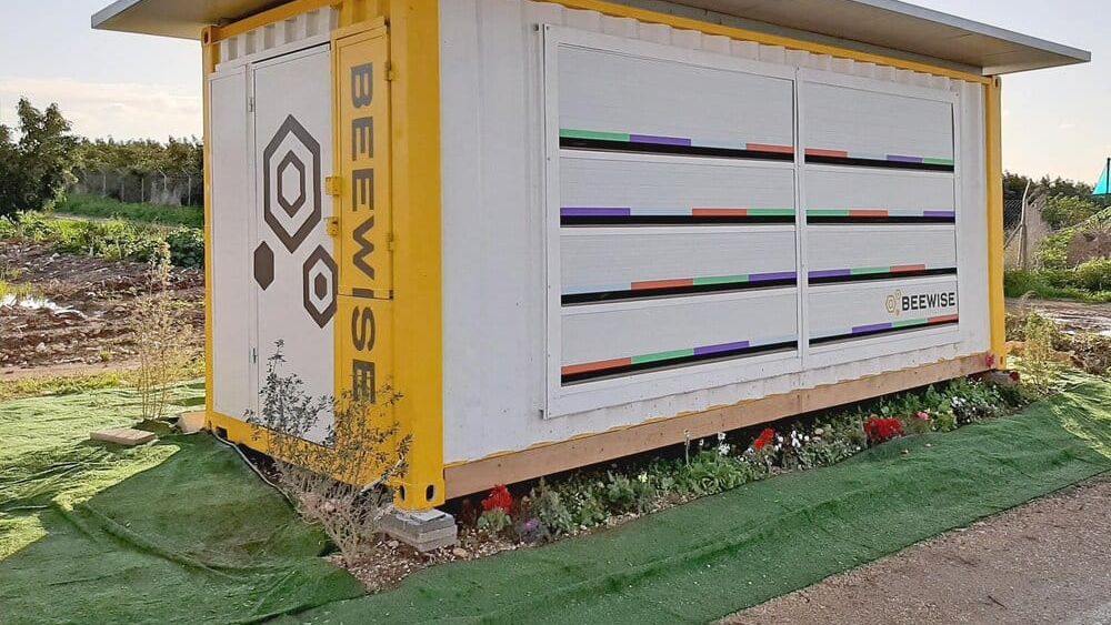 Apicultura 4.0/ Digitalizare, inovație în nutriție, stupi inteligenți și noi sortimente de miere cu accent pe calitățile funcționale ale produsului