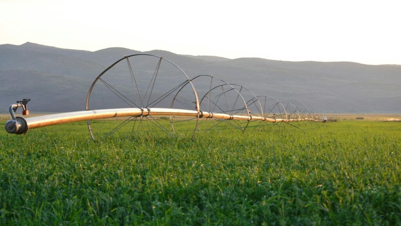 Lipsa apei de irigat creează situaţii tensionate în toată ţara, susţin organizaţiile agricultorilor