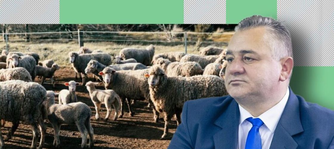 Va fi mielul de pe masa de Paște mai scump decât anul trecut? Horia Moruţan (președinte Asociația Crescătorilor de Ovine, Alba): Așa ar fi logic, dar nu cred. Degeaba crești prețul dacă nu are cum plăti cumpărătorul