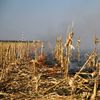 Pășuni agricole afectate de incendii de vegetație în Bihor / Conform legii arderea vegetației uscate este strict reglementată și adesea interzisă