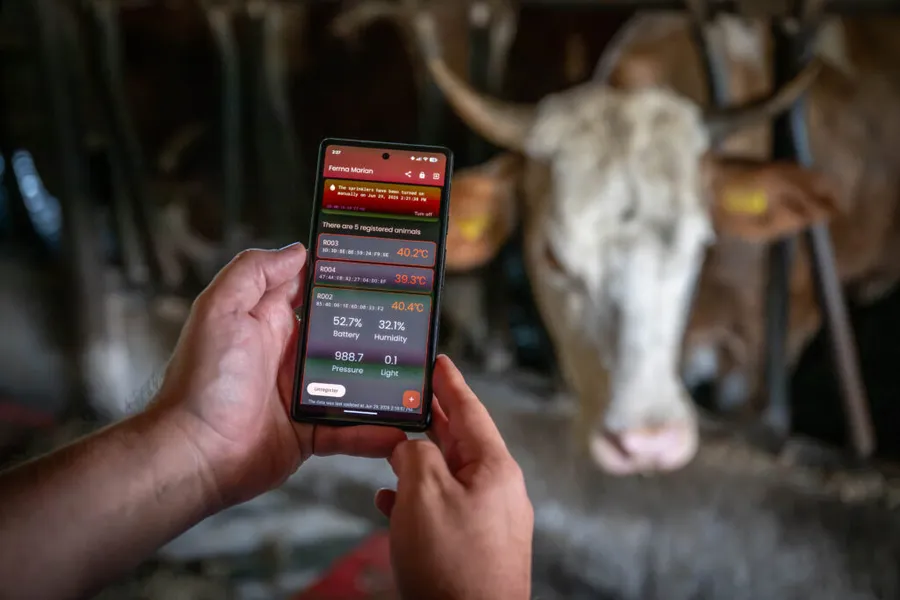 viorel-marin-anamob-g4food-agricultura-romaneasca-digitalizarea-agriculturii-agricultura-viitorului-inteligenta-artificiala-farmtopia-ferme-de-familie-fermieri-romani-senzori-iot-tehnologii-agricole-zootehnie-productia-de-lapte-stres-termic-la-bovine-schimbari-climatice-eficienta-energetica-fonduri-europene-morarit-panificatie-industria-alimentara
