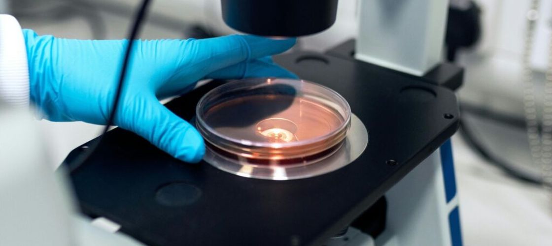 Nu s-a descoperit cauza toxiinfecției de la Arad/ Restaurantul unde au luat masa fotbaliștii din București se redeschide după ce analizele DSVSA au ieșit negative