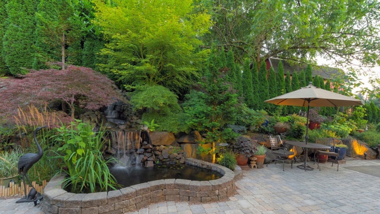 Top 10 tendințe în grădinărit pentru 2025: de la compost cu excremente de viermi la spații zen pentru relaxare