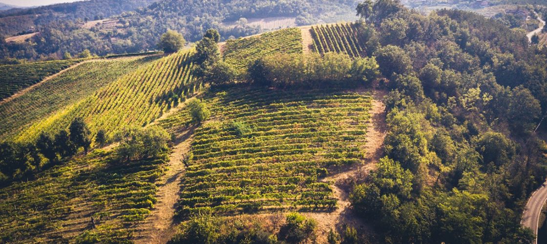 O excursie printre vii și spumante: Oltrepò Pavese, destinația italiană pe care nu știai că trebuie s-o pui pe hartă (GALERIE FOTO)