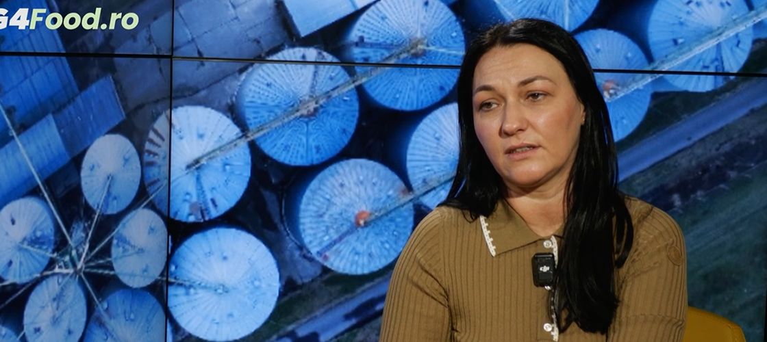 Alina Donici, cofondatoarea Artesana: „Părinții noștri și-au pus casele la bancă pentru acest business” / De la insolvență și un „an complet negru” la unul dintre cele mai cunoscute branduri românești de lactate artizanale