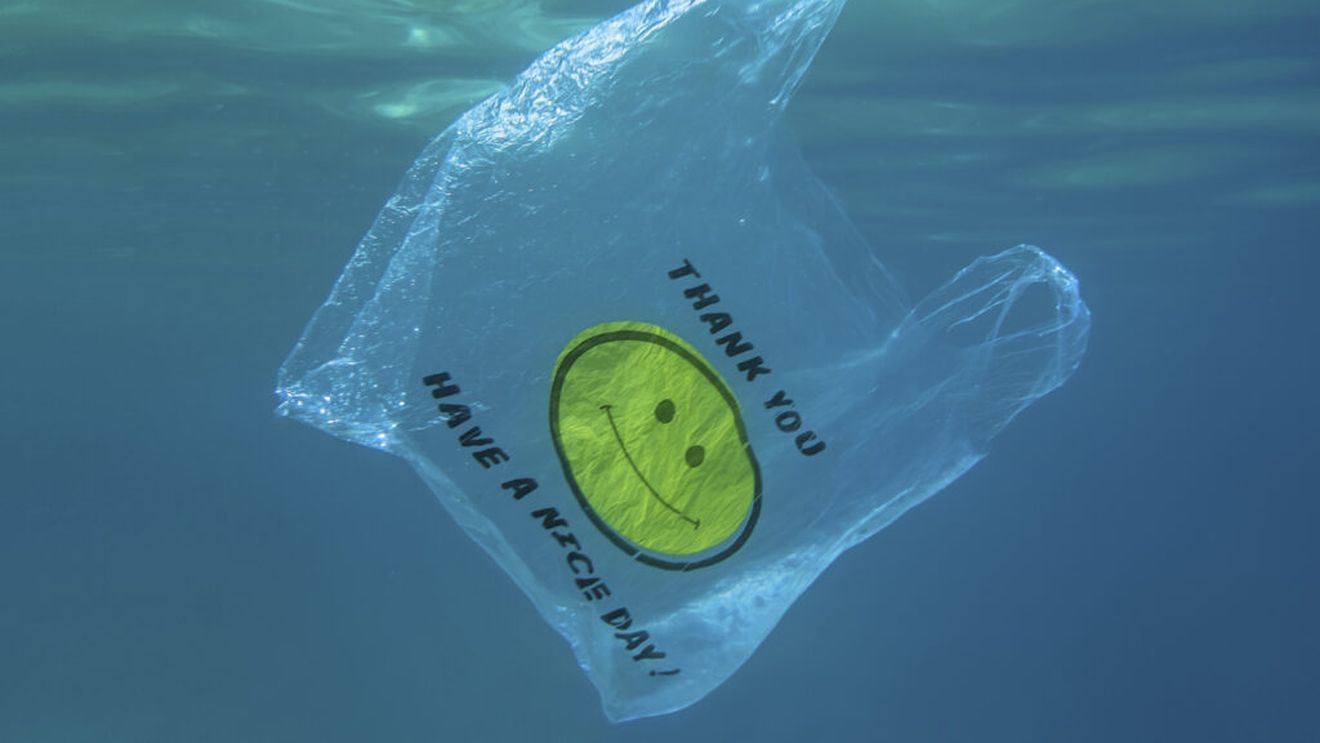 Un plastic pe bază de orz este 100% biodegradabil / Materialul ar putea fi utilizat pentru ambalaje alimentare