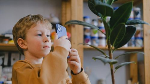 PlantNet, aplicația care susține că baza sa de date conține peste 46 de mii de specii de plante / Ce plante din grădina ta sunt nesigure pentru animalele de companie?