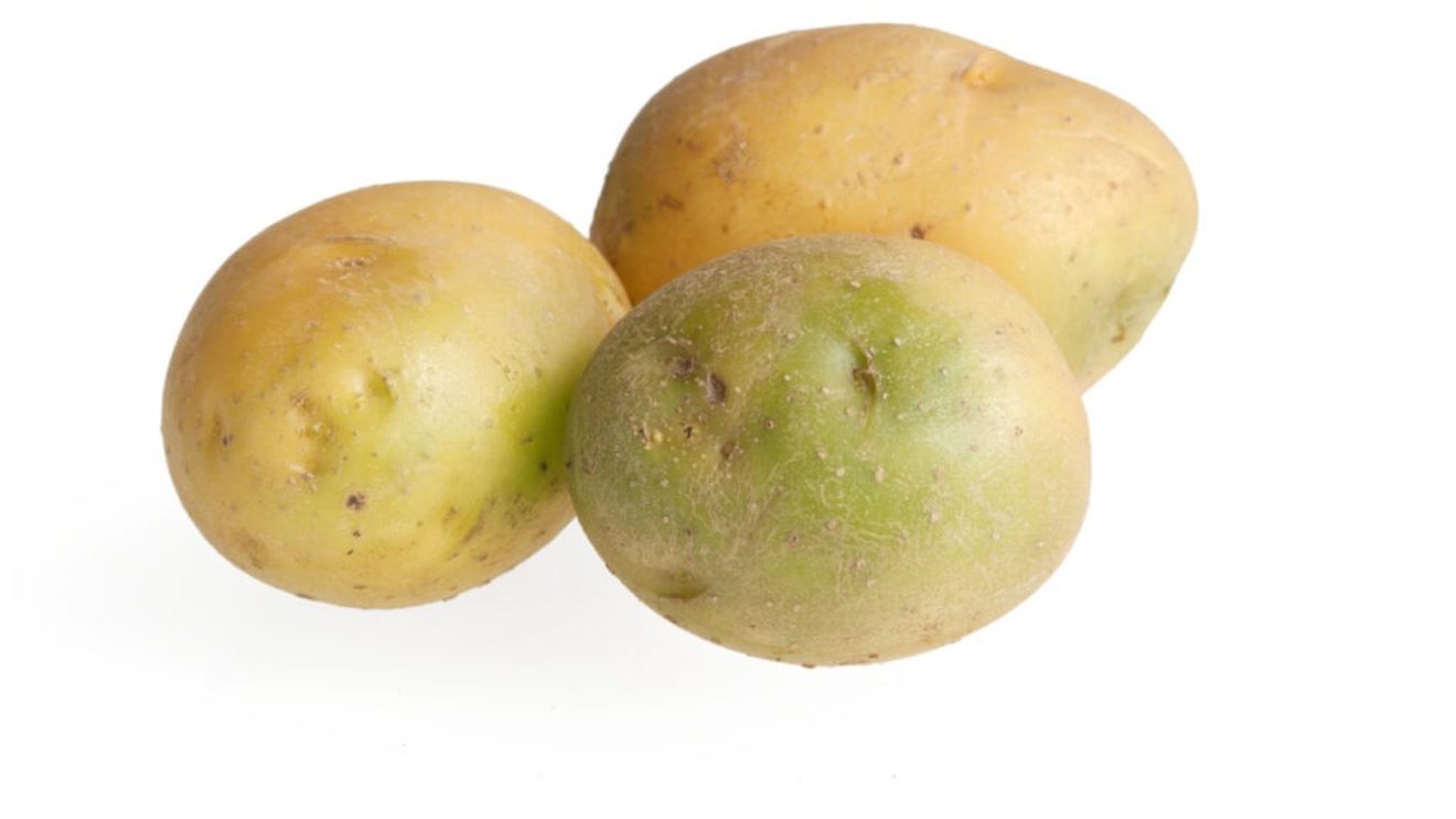 VIDEO | Trucul folosit de fermierii germani pentru a dubla cantitatea de cartofi de sămânță