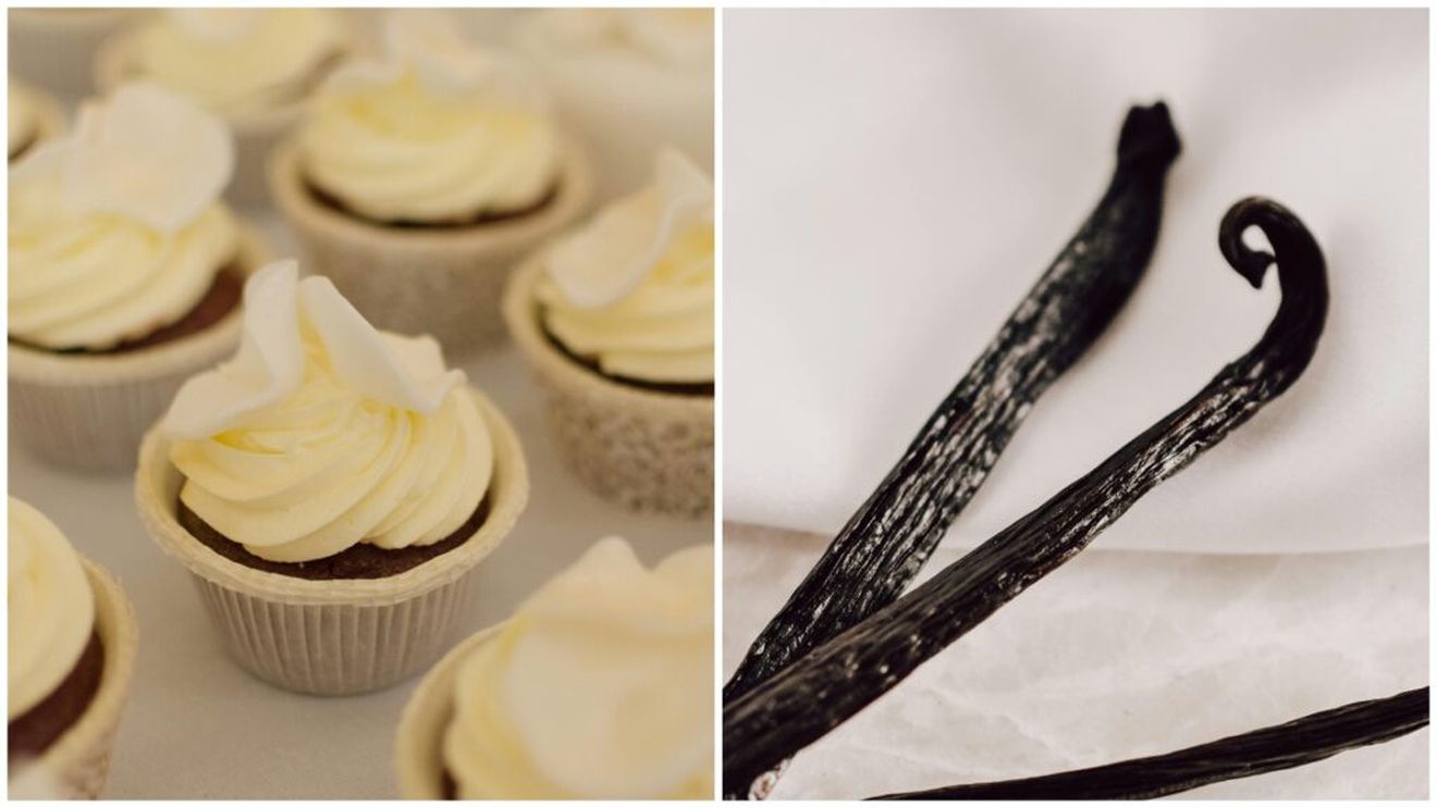 Parfumuri, lumânări, pastă de dinți – vanilia reală este folosită în multe domenii și este pe cale de dispariție (NYT)