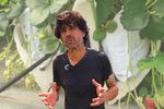 VIDEO Cultivarea hidroponică a căpșunilor / Fermier: Am introdus irigarea prin picurare și cultura hidroponică pentru a economisi apă și pentru a reduce bolile plantelor