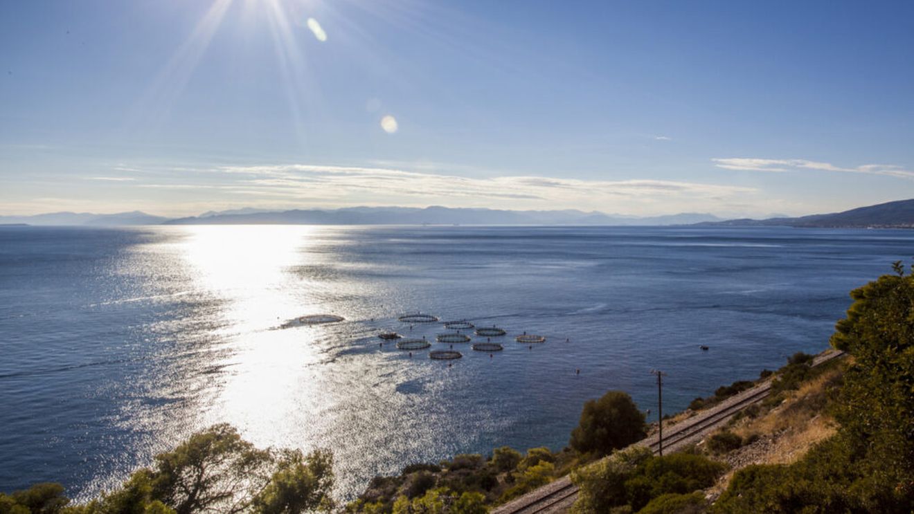 Fermele de acvacultură din ariile protejate din Tulcea ar putea primi compensaţii