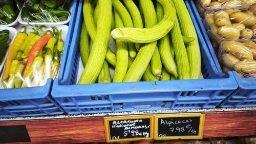 VIDEO | „Castravetele” alficoz sau castravetele de Levant este, de fapt, un pepene. Povestea unei delicatese din regiunea Valenciei