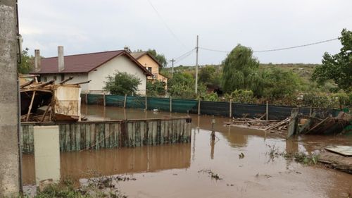 Peste 2.200 de animale şi 6.200 de păsări au murit în urma inundaţiilor în judeţele Vaslui şi Galaţi