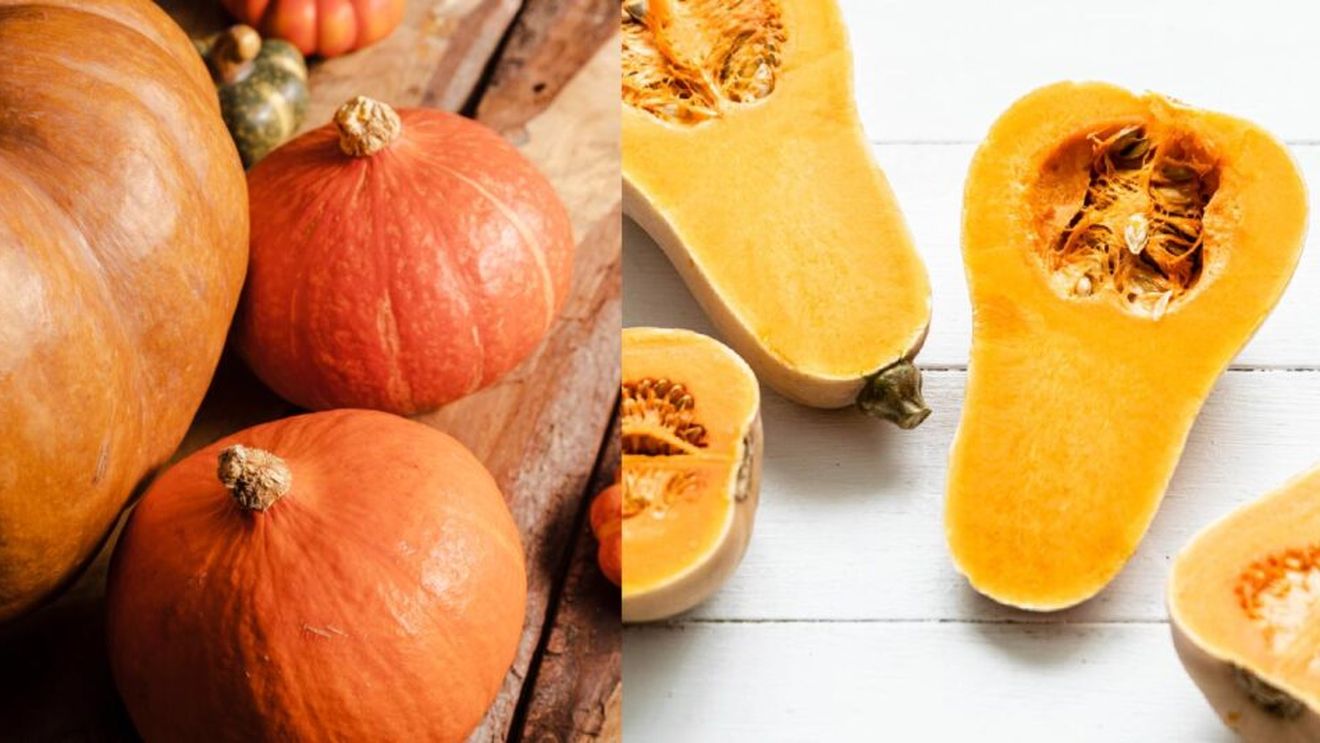 Dovleac plăcintar sau butternut squash? / Care are mai multe fibre, potasiu și mai puține calorii / Ambele sunt alegeri bune pentru sezonul rece, dar există și diferențe între ei