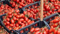 Fraudă cu subvenții agricole europene în Italia / Zece suspecți, vizați de măsuri preventive și aproape un milion de euro a fost pus sub sechestru