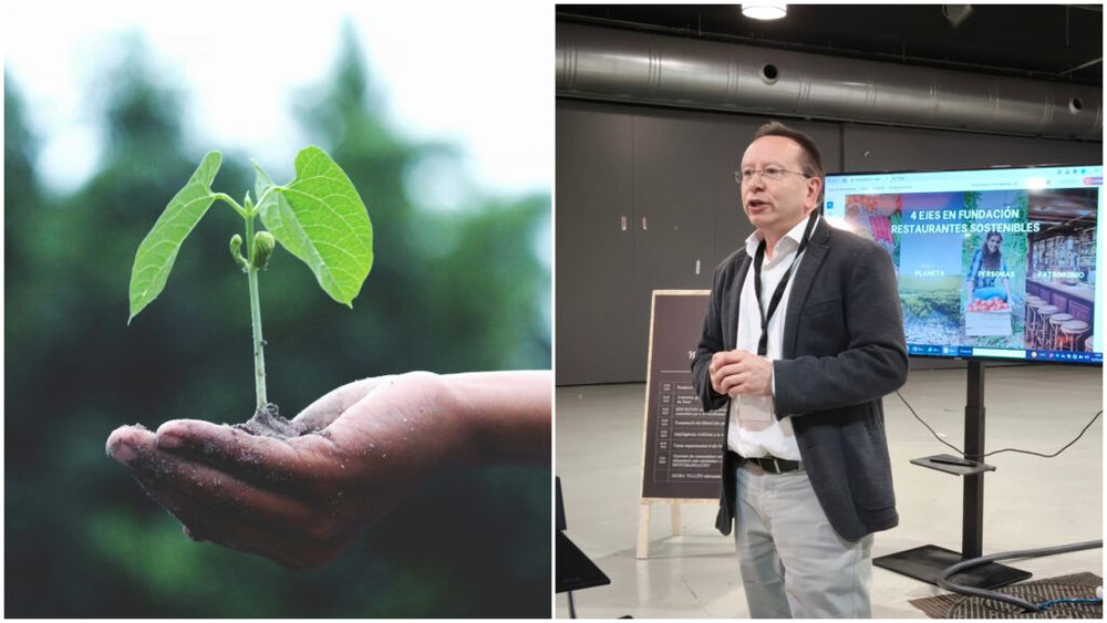 VIDEO | Restaurante sustenabile: O fundație din Barcelona care pune în contact producătorii de alimente cu proprietarii de restaurante și îi pregătește pentru un business mai sustenabil