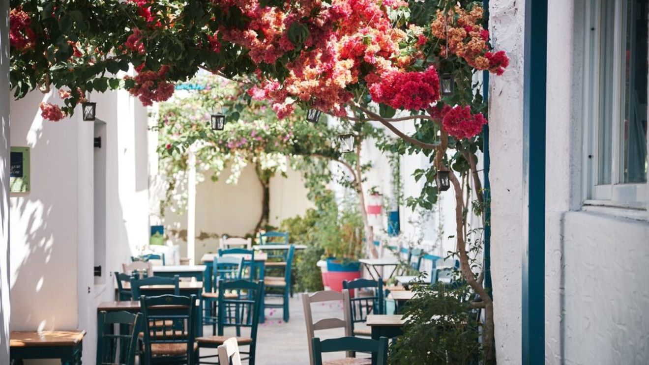 Cum alegi și la ce trebuie să te aștepți de la o tavernă când ești în vacanță în Grecia. La ce detalii să fii atent