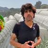 VIDEO FOTO O afacere de familie într-o zonă celebră pentru căpșunile sale/ Fermier: Cultivăm fructele pe deal ca să beneficiem de înclinația razelor soarelui