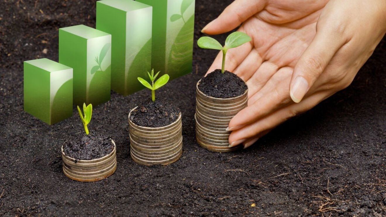 România este o ţară în plină dezvoltare economică, afirmă ministrul Finanțelor / România se poate baza pe o creştere economică solidă / Creşte foarte mult productivitatea în agricultură