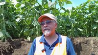 Cum să recunoști un sol sănătos / Francezul Sebastien Record îi învață pe fermieri cum să pună diagnostic pământului: „Sănătatea solului este fundamentul agriculturii performante”