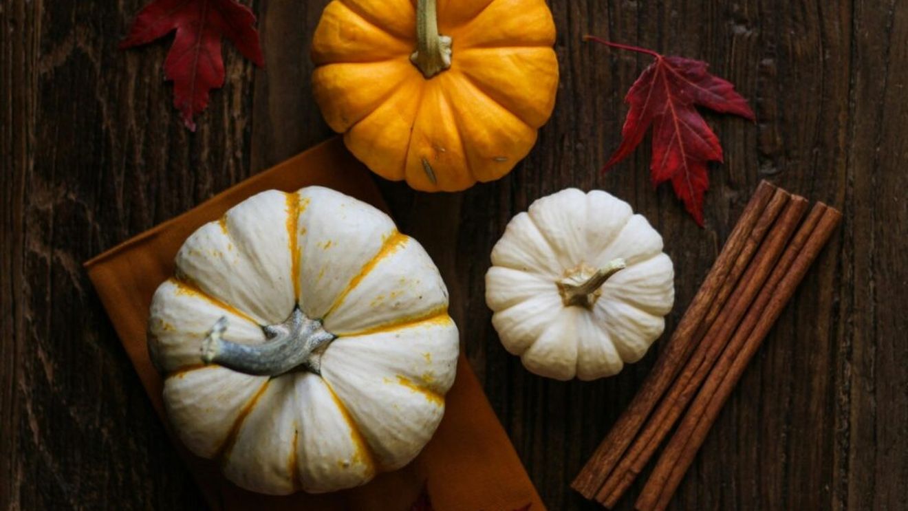 Festivalul dovecilor va avea loc, de vineri până duminică, în Parcul Titan din București/ Vor putea fi degustate preparate culinare românești, internaționale și produse pe bază de dovleac