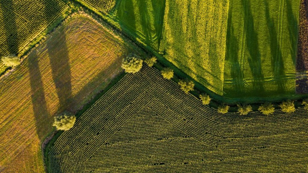 Agricultura regenerativă, între seceta din România și scumpirea îngrășămintelor: „Solurile mai sănătoase rețin mai bine apa” / Ce indică date recente ale Comisiei Europene