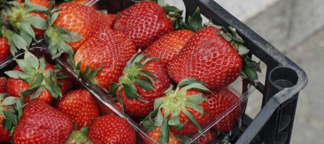 Cât costă căpșunile în piețele din București: de la 12 la 25 lei/kg / Unde sunt cele mai mari cozi