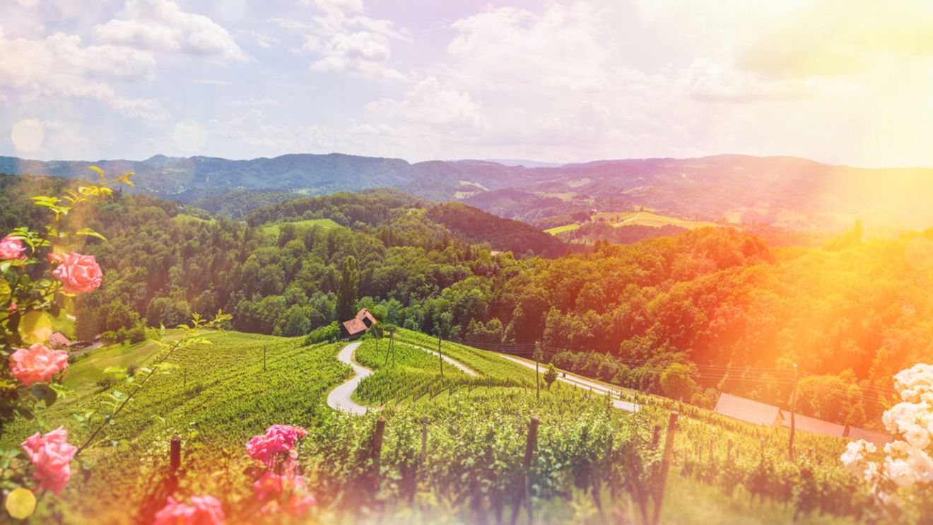 Cea mai bună regiune viticolă din Europa nu este în Franța sau Italia. Locul 1 este ocupat de Štajerska, Slovenia / Top 12