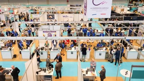 World Bulk Wine Exhibition (WBWE) se desfășoară pe 25 și 26 noiembrie 2024, la Amsterdam/ Peste 240 de crame din 25 de țări participă la eveniment/ Între ele firme din România și Moldova