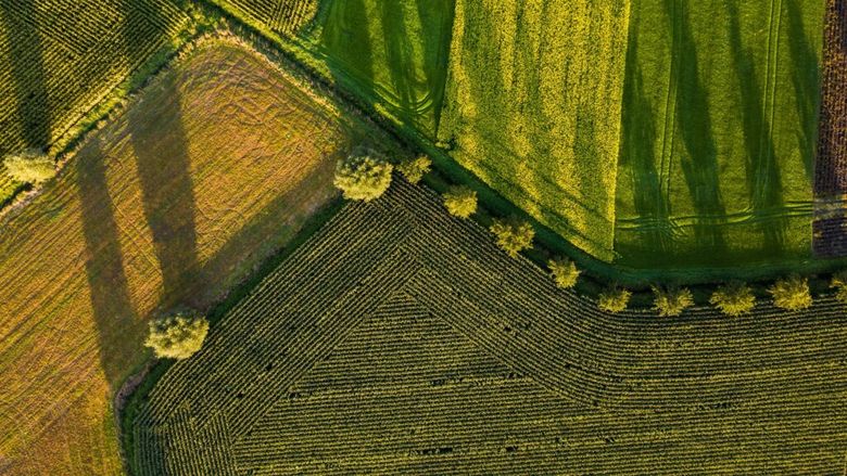 Agricultura regenerativă, între seceta din România și scumpirea îngrășămintelor: „Solurile mai sănătoase rețin mai bine apa”