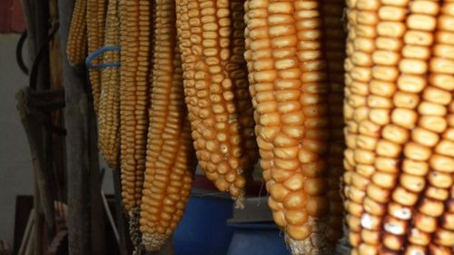 Fostul lider Pro Agro, Emil Dumitru, demontează apărarea formulată public de ministerul Agriculturii după ce publicația agrointel.ro l-a acuzat pe Petre Daea că a raportat producții nereale la porumb