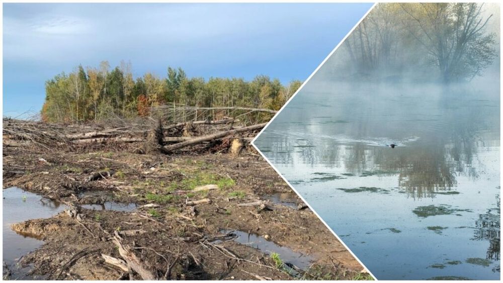 O fermă de lactate din SUA trebuie să restaureze 28 de hectare de zonă umedă distrusă și să plătească o amendă de 10.000 de dolari / 8 motive pentru care aceste zone sunt extrem de importante