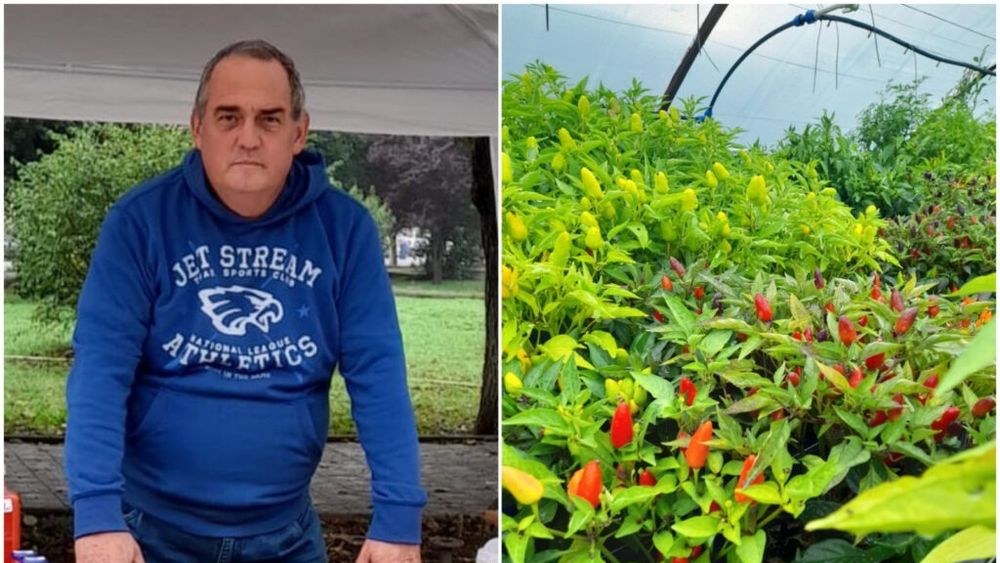 VIDEO | Fermier cu valoare adăugată: Cum a ajuns familia Lăzărean din Sibiu să vândă „Bunătăți din grădină” / Pentru a-și asigura independența în agricultură, au construit un solar destinat producției de răsaduri