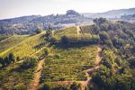 O excursie printre vii și spumante: Oltrepò Pavese, destinația italiană pe care nu știai că trebuie s-o pui pe hartă (GALERIE FOTO)