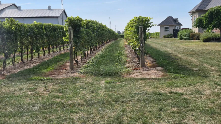 Niagara-on-the-Lake