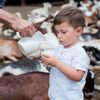 Când laptele de capră îți poate face rău / O fetiță de un an și cinci luni, aproape de moarte după ce a băut lapte crud / Riscurile produselor nepasteurizate